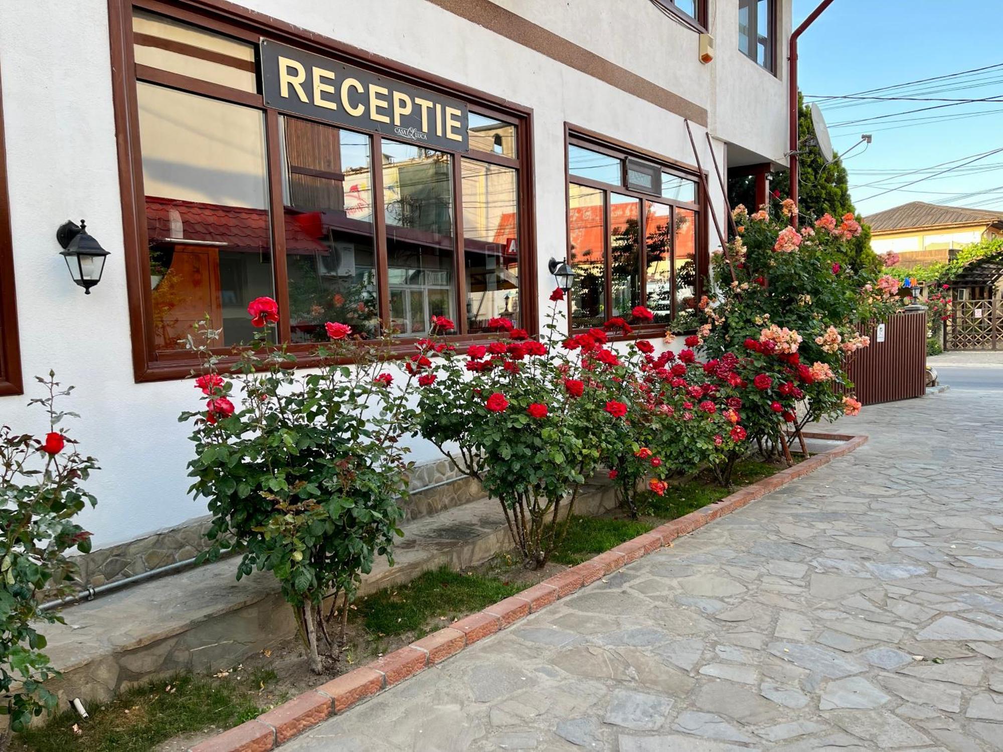 Hotel Casa Luca à Vama Veche Extérieur photo